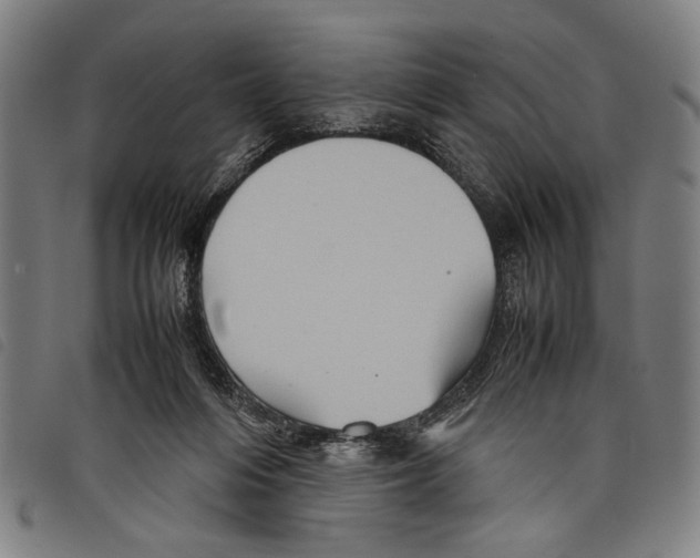 X0000097780216200804041221