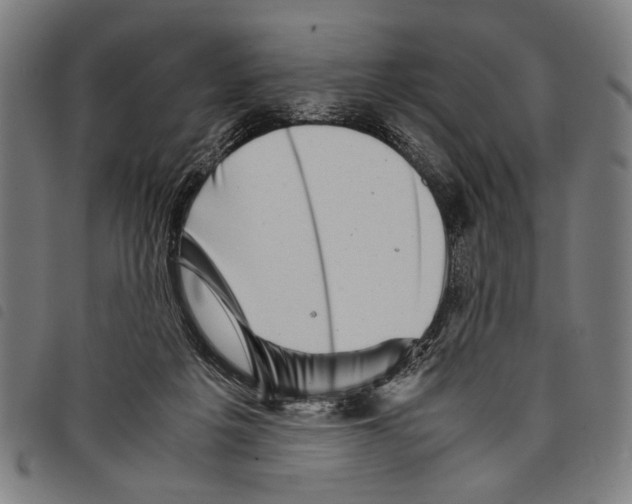 X0000097780217200804041221