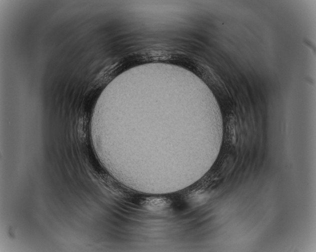 X0000097780218200804041221