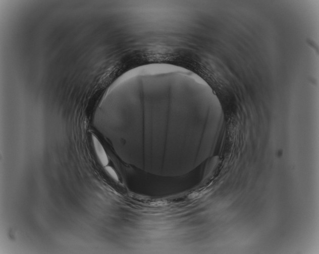 X0000097780219200804041221