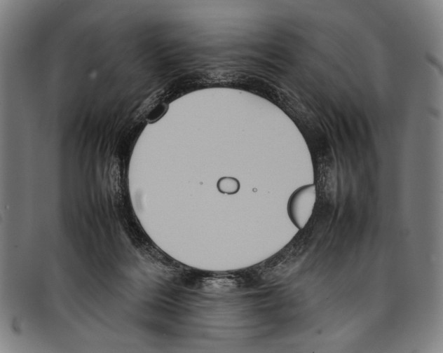 X0000097780220200804041221