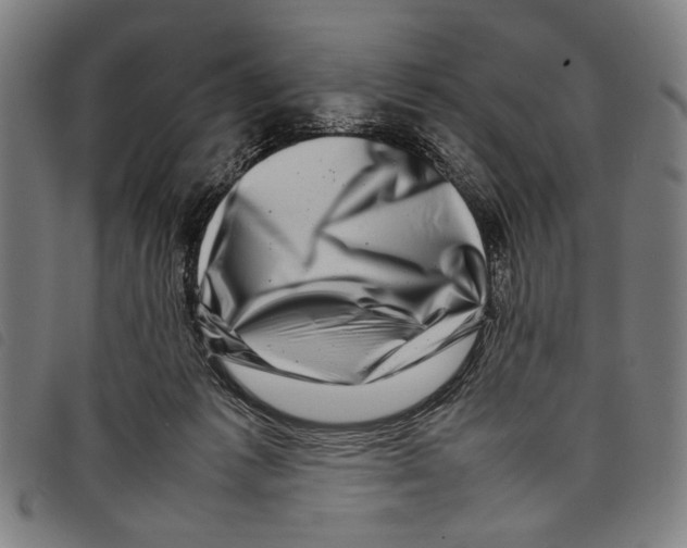 X0000097780221200804041221