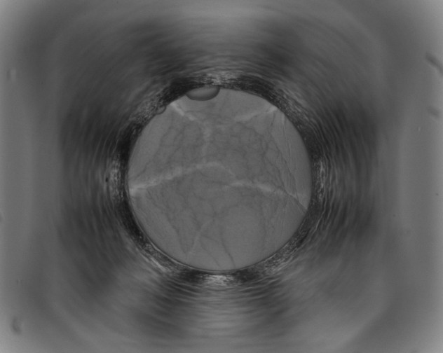 X0000097780222200804041221