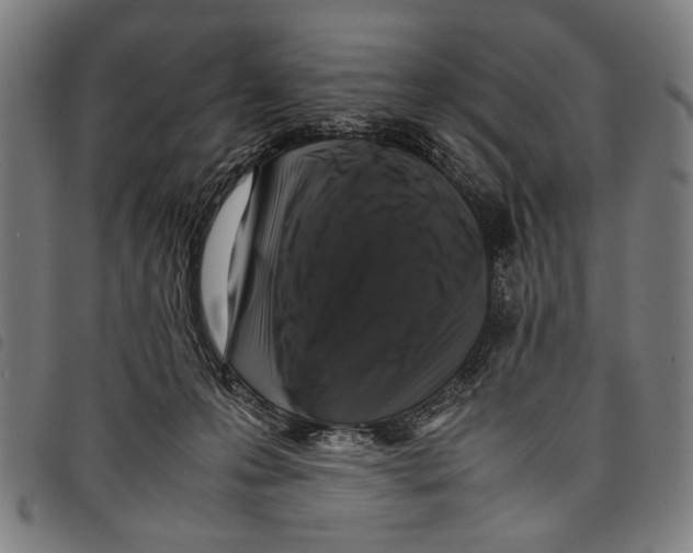 X0000097780223200804041221