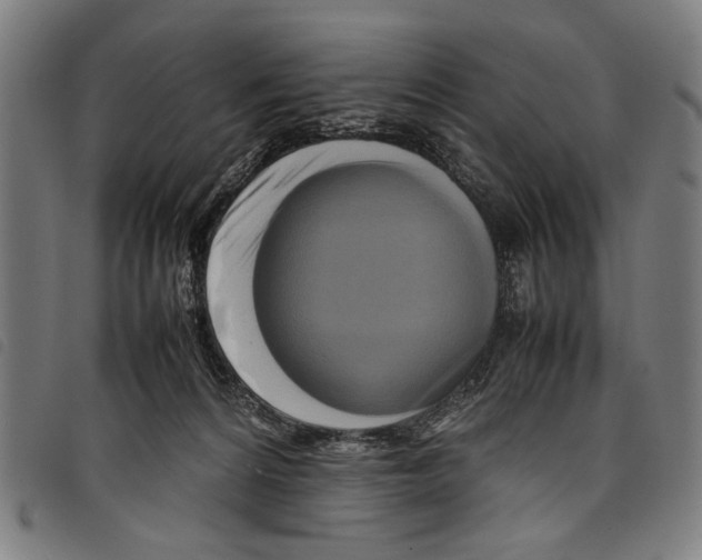 X0000097780224200804041221