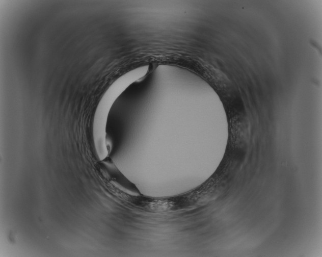 X0000097780225200804041221