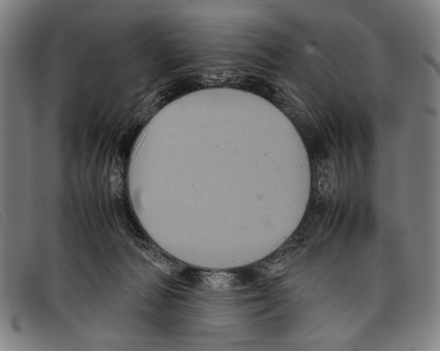 X0000097780226200804041221