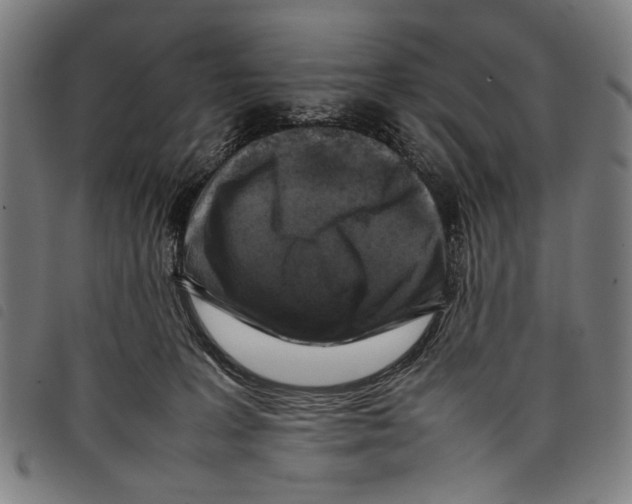 X0000097780227200804041221