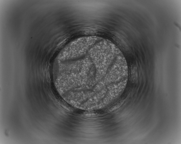 X0000097780228200804041221