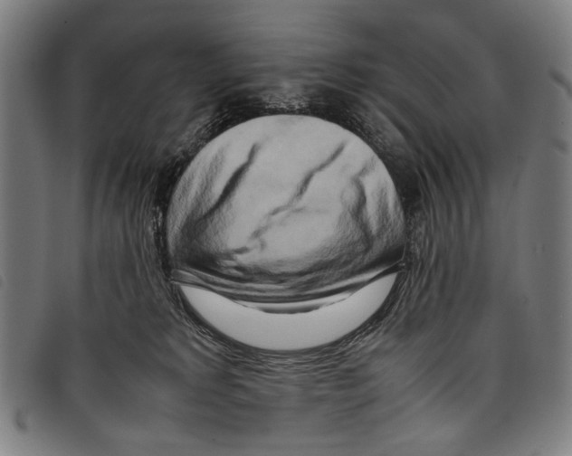 X0000097780229200804041221