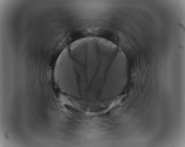 X0000097780231200804041221