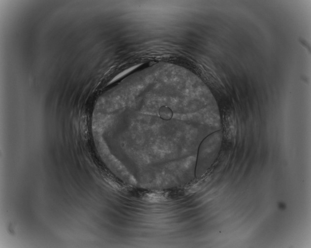 X0000097780232200804041220