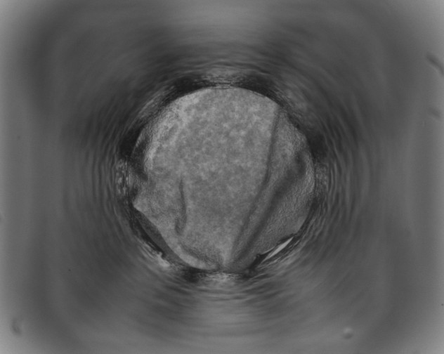 X0000097780237200804041220