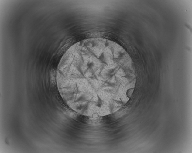 X0000097780240200804041220