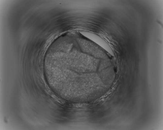 X0000097780241200804041220