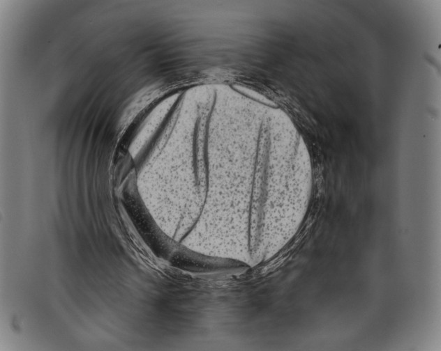 X0000097780242200804041220