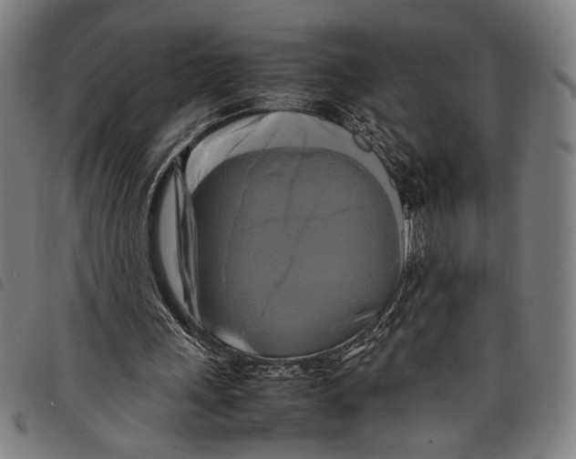 X0000097780243200804041220