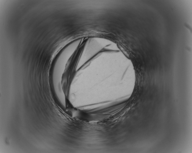 X0000097780244200804041220