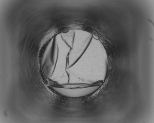 X0000097780245200804041220