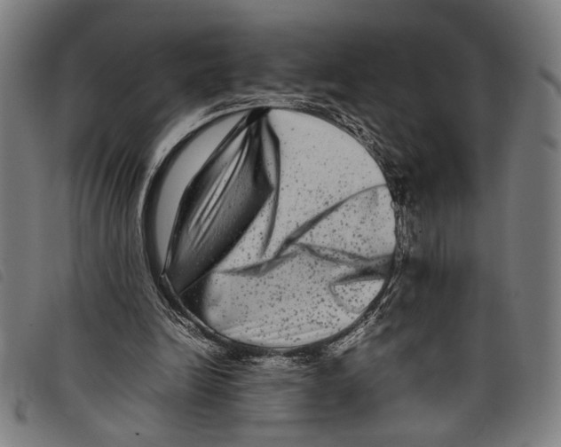 X0000097780246200804041220