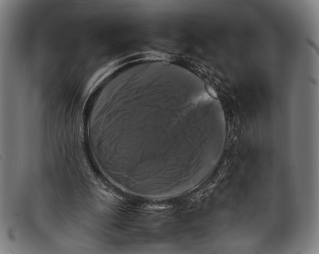 X0000097780247200804041220