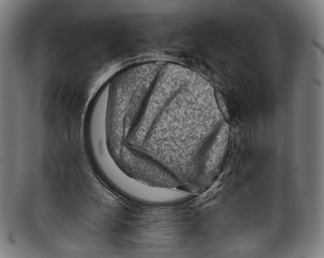 X0000097780248200804041220