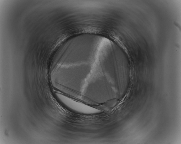 X0000097780249200804041220