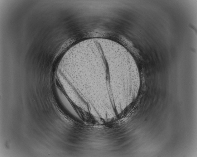 X0000097780250200804041220