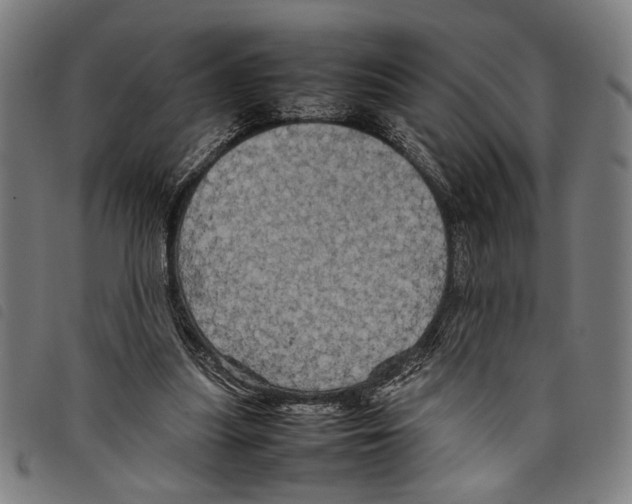 X0000097780251200804041220