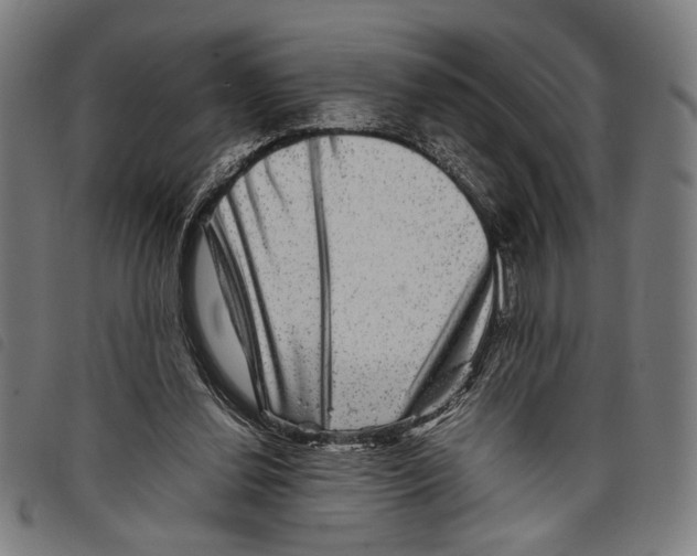 X0000097780252200804041220