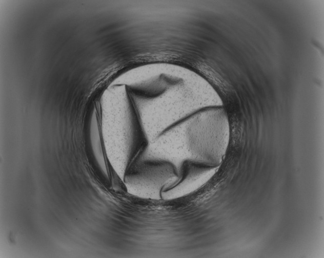 X0000097780254200804041220