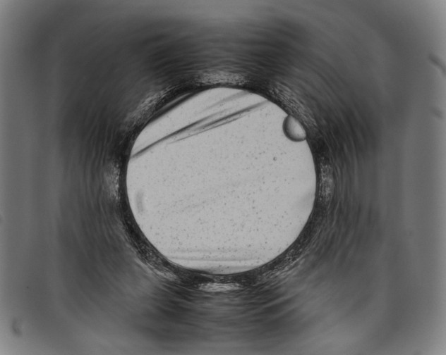 X0000097780255200804041220