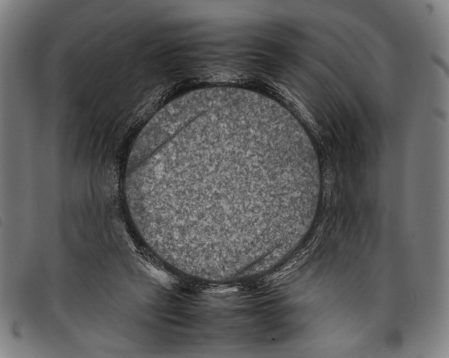 X0000097780257200804041220