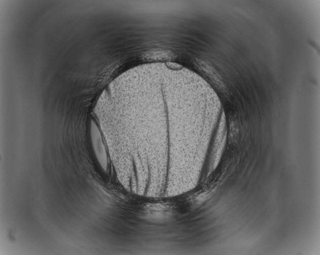 X0000097780259200804041220