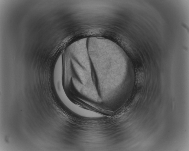 X0000097780260200804041220