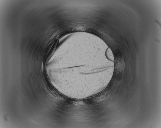 X0000097780262200804041220