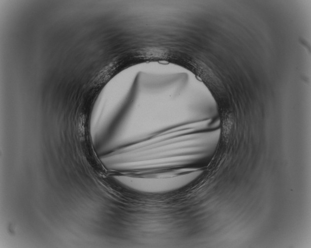 X0000097780264200804041220