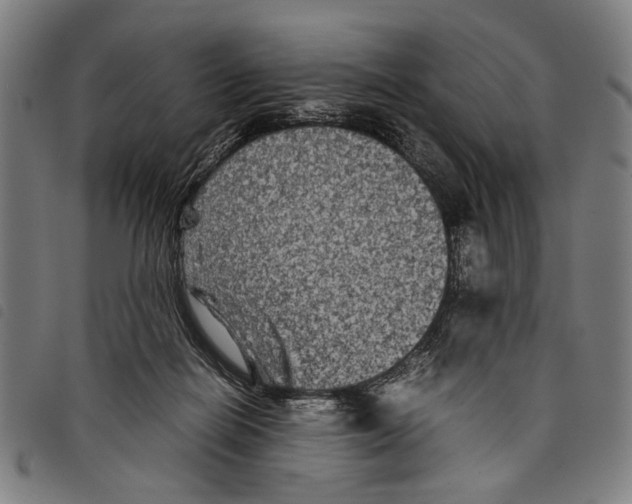 X0000097780266200804041220