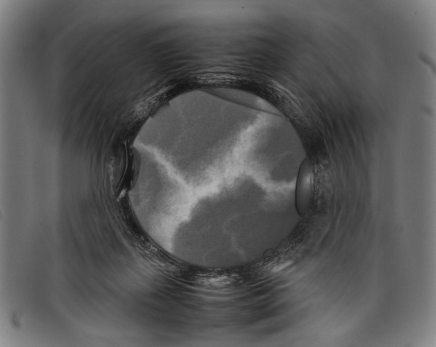 X0000097780267200804041220