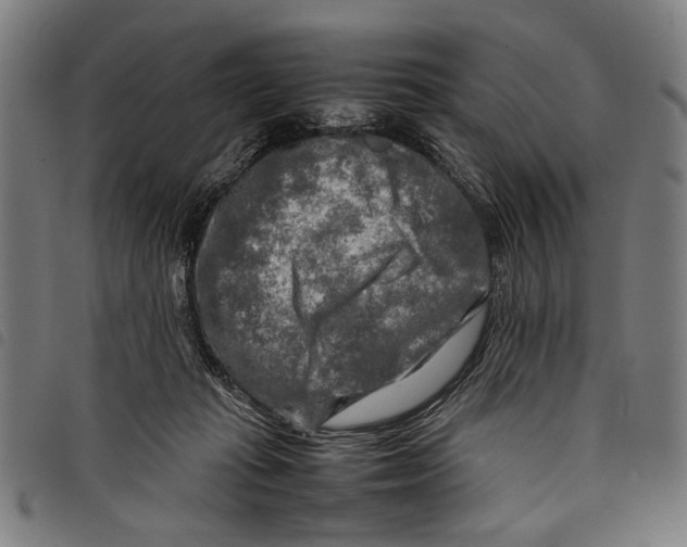 X0000097780269200804041220