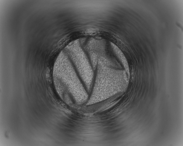 X0000097780270200804041220