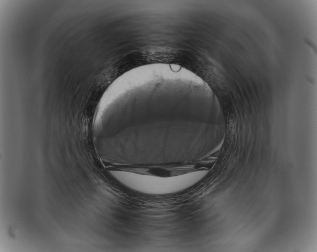 X0000097780271200804041220