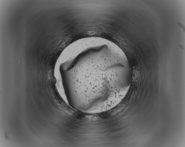 X0000097780272200804041220