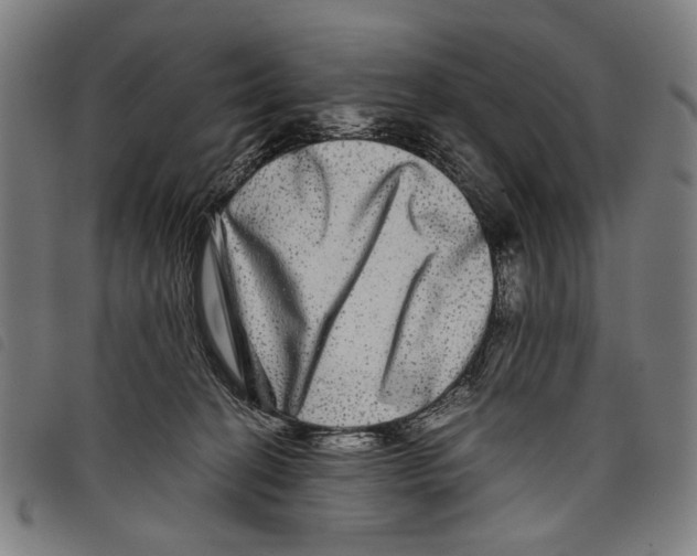 X0000097780274200804041220