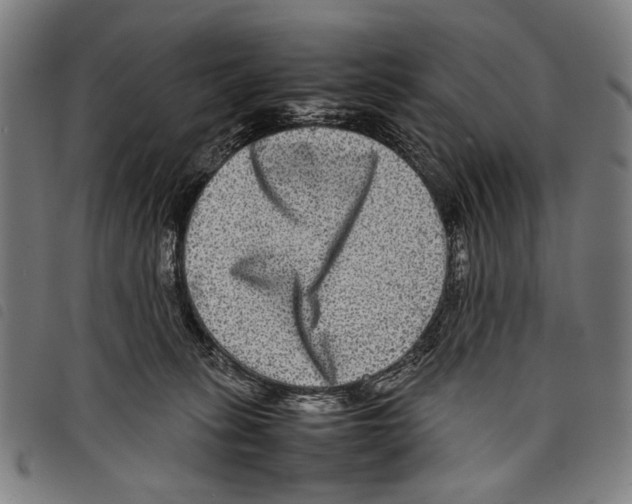 X0000097780275200804041220