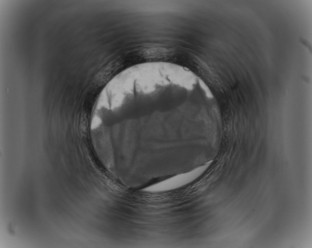 X0000097780277200804041220