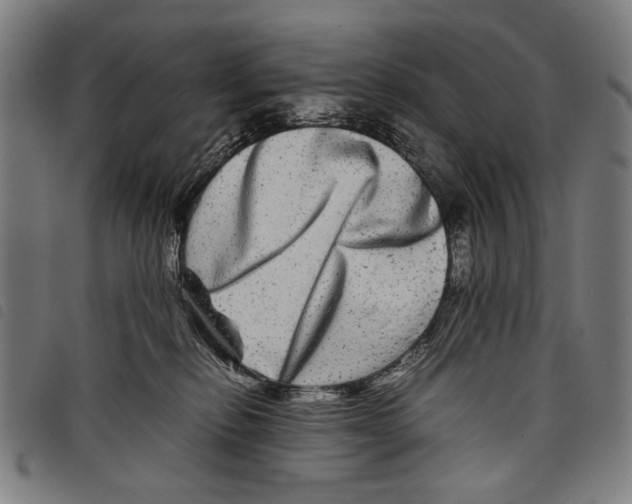 X0000097780278200804041220