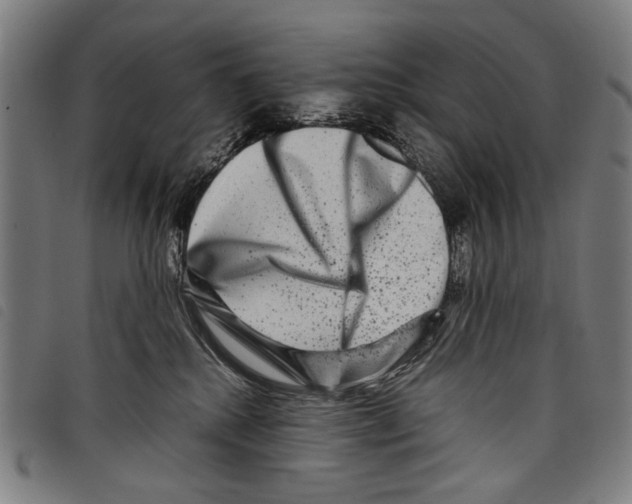 X0000097780280200804041220