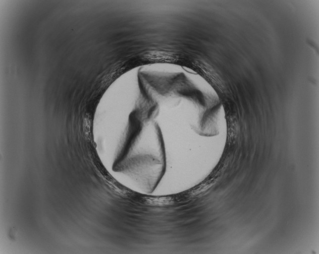 X0000097780281200804041220