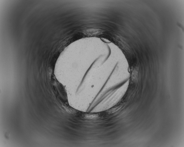 X0000097780283200804041220